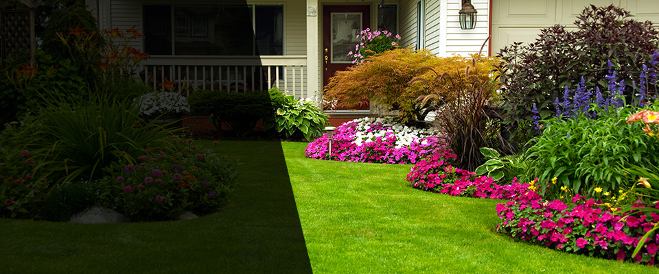 Clearwater Landscapers